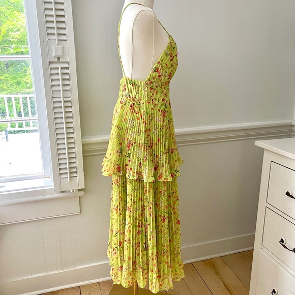 Amur's NWT Nico floral pleated tiered midi dress - Picture 4 of 11